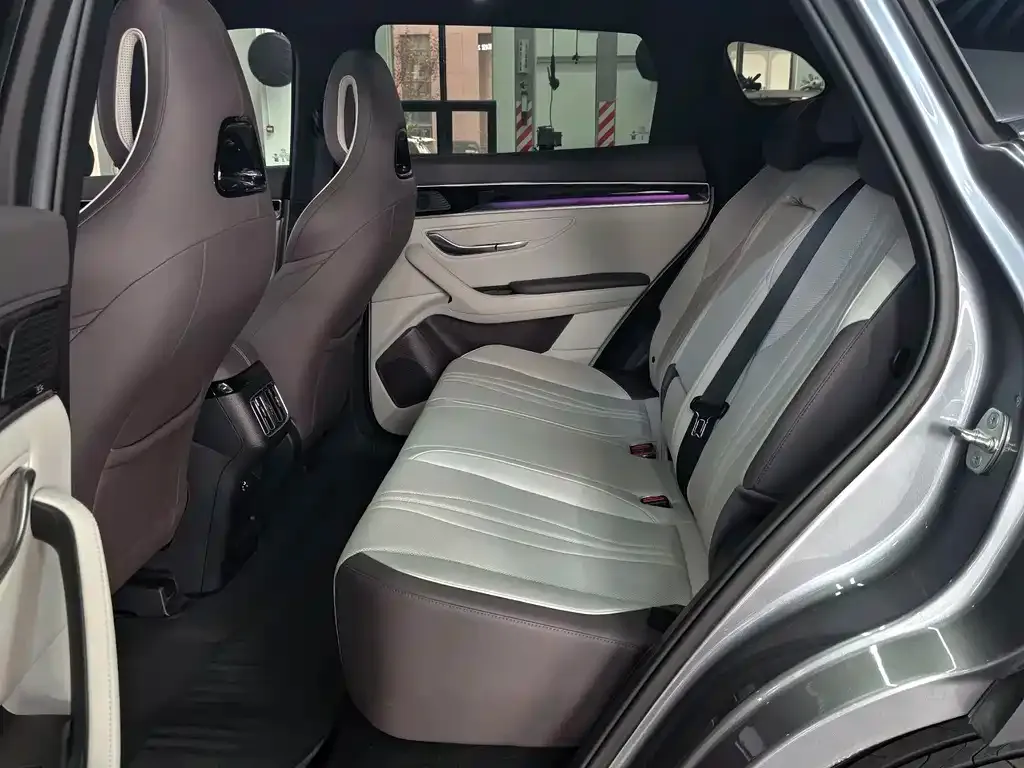 BYD PLUS New Energy 2025 из CN, фото 6