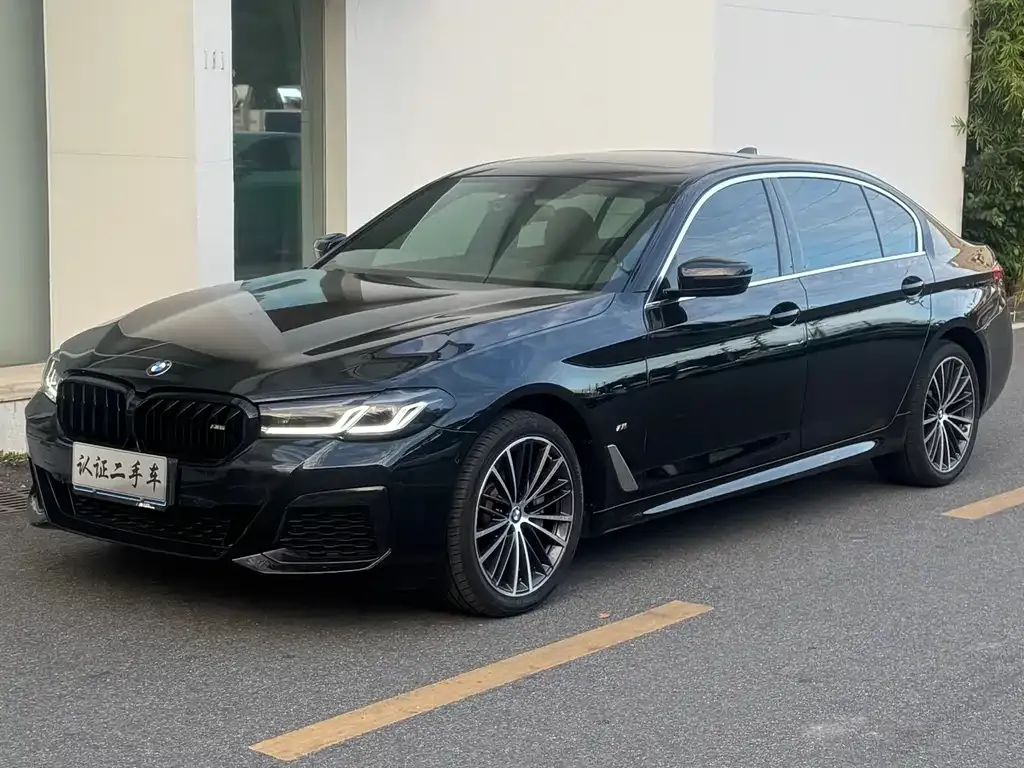 BMW 5 Series 2021 из CN, фото 1