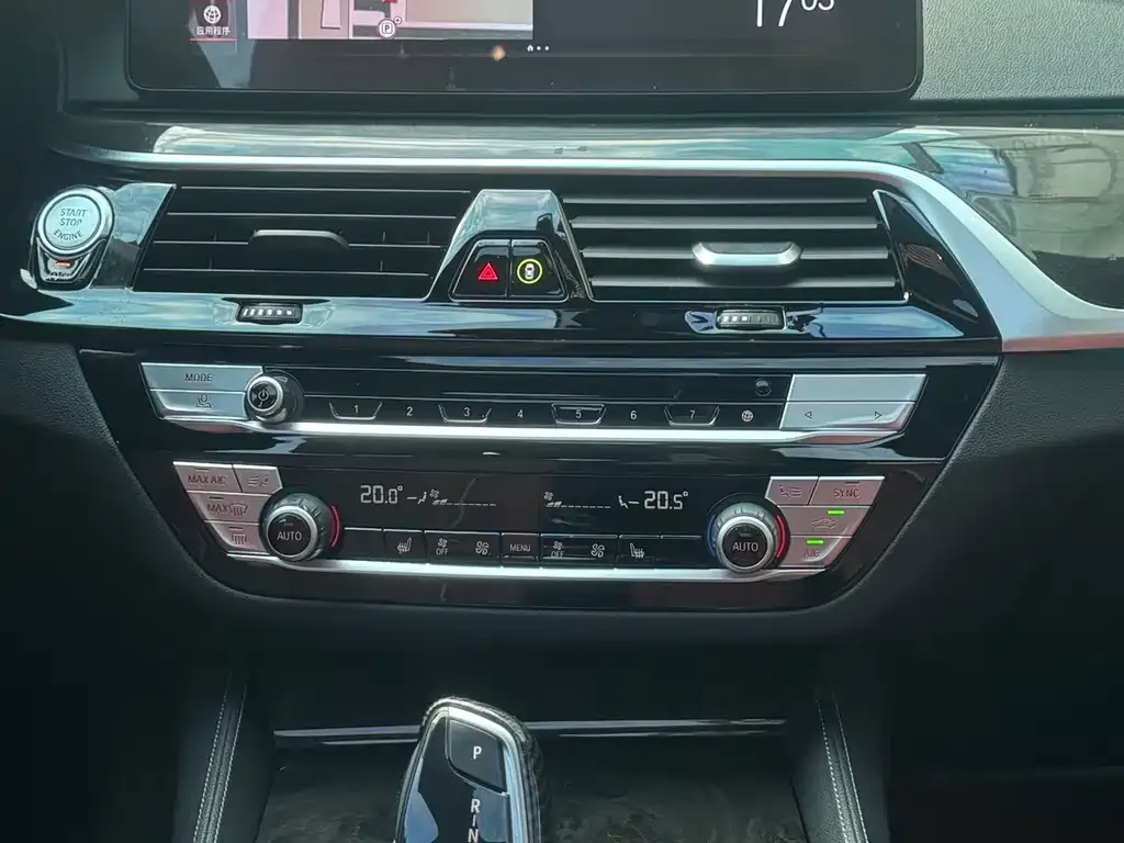 BMW 5 Series 2021 из CN, фото 10