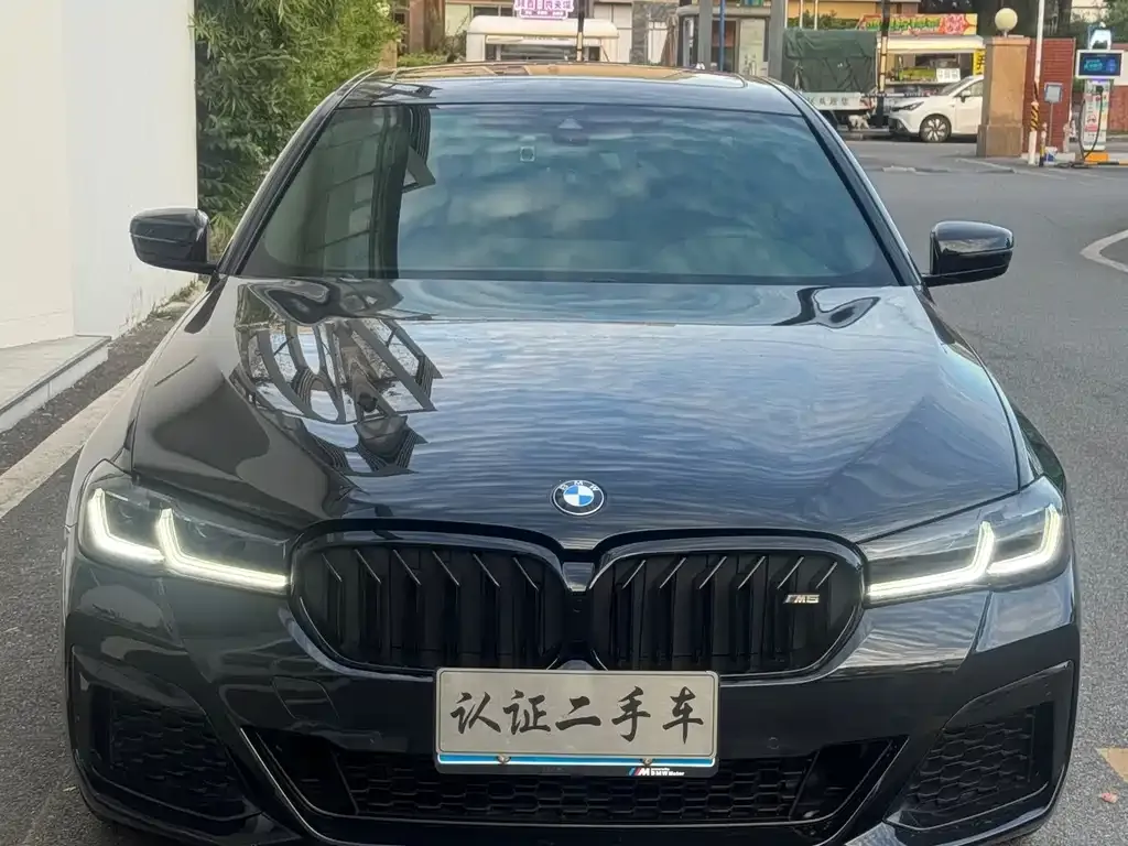 BMW 5 Series 2021 из CN, фото 2