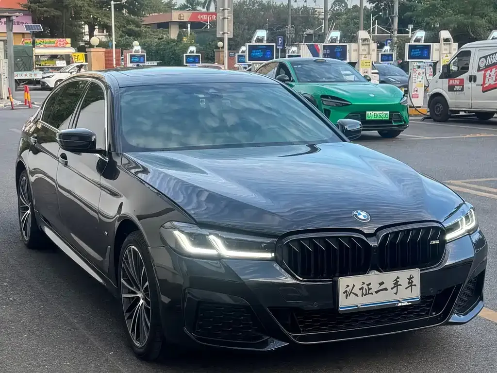 BMW 5 Series 2021 из CN, фото 3