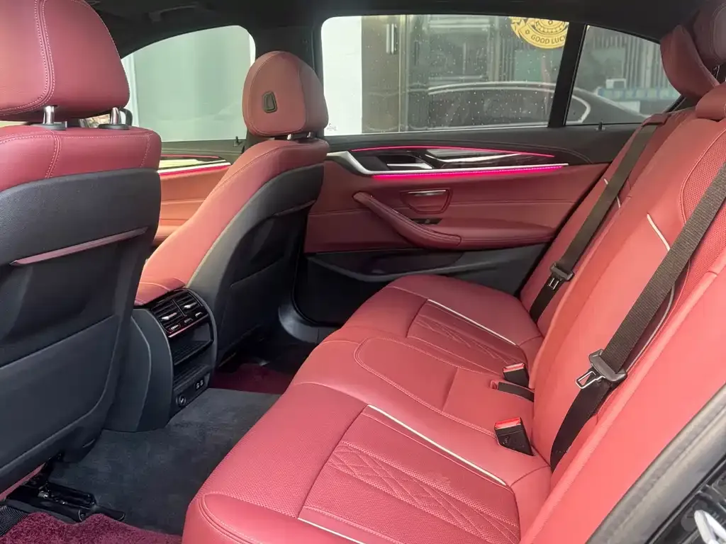 BMW 5 Series 2021 из CN, фото 5