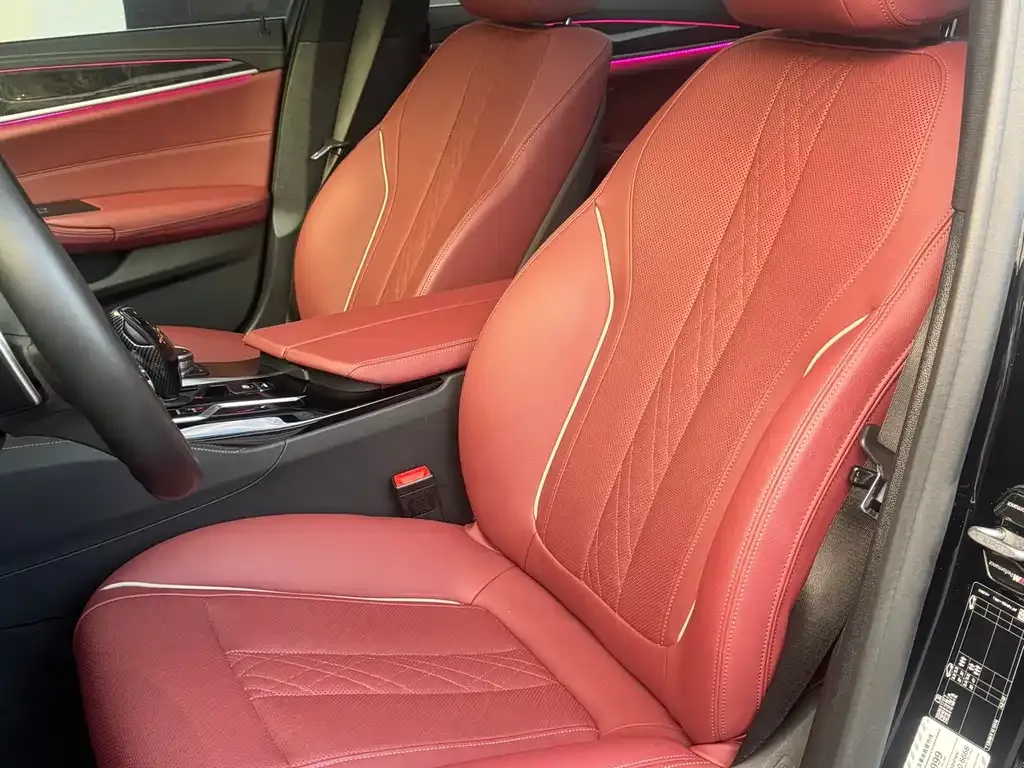 BMW 5 Series 2021 из CN, фото 8