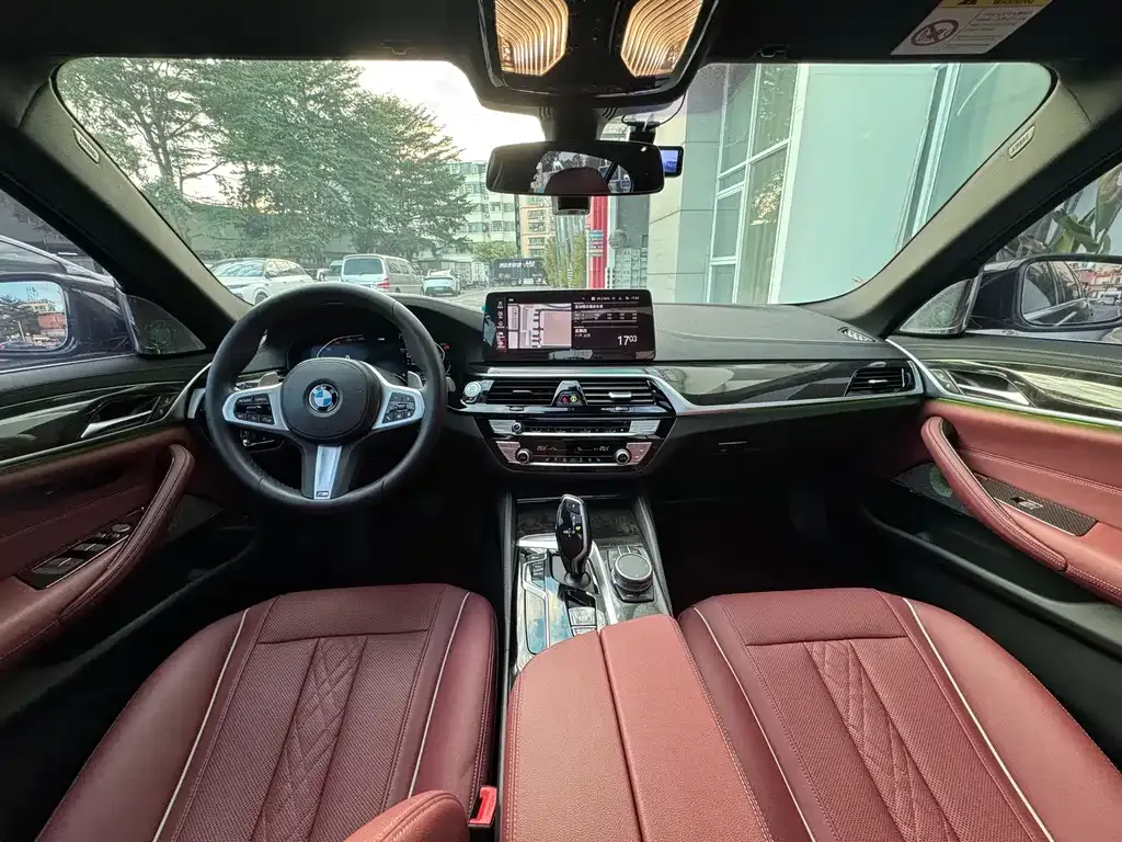 BMW 5 Series 2021 из CN, фото 9