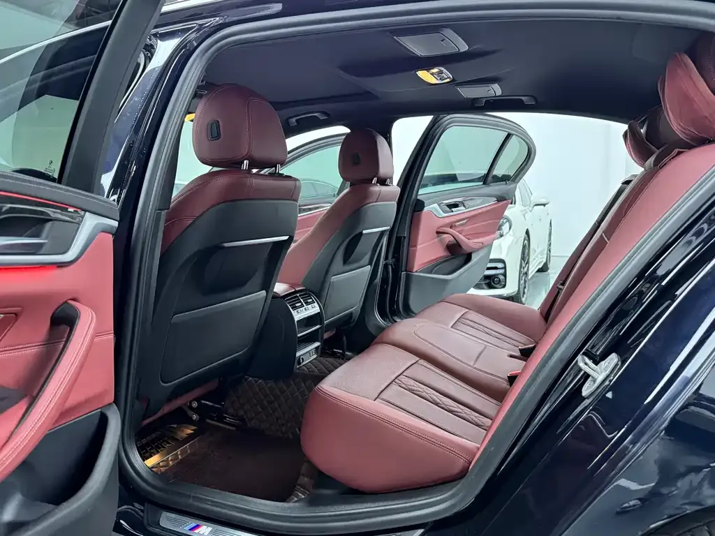 BMW 5 Series 2021 из CN, фото 7