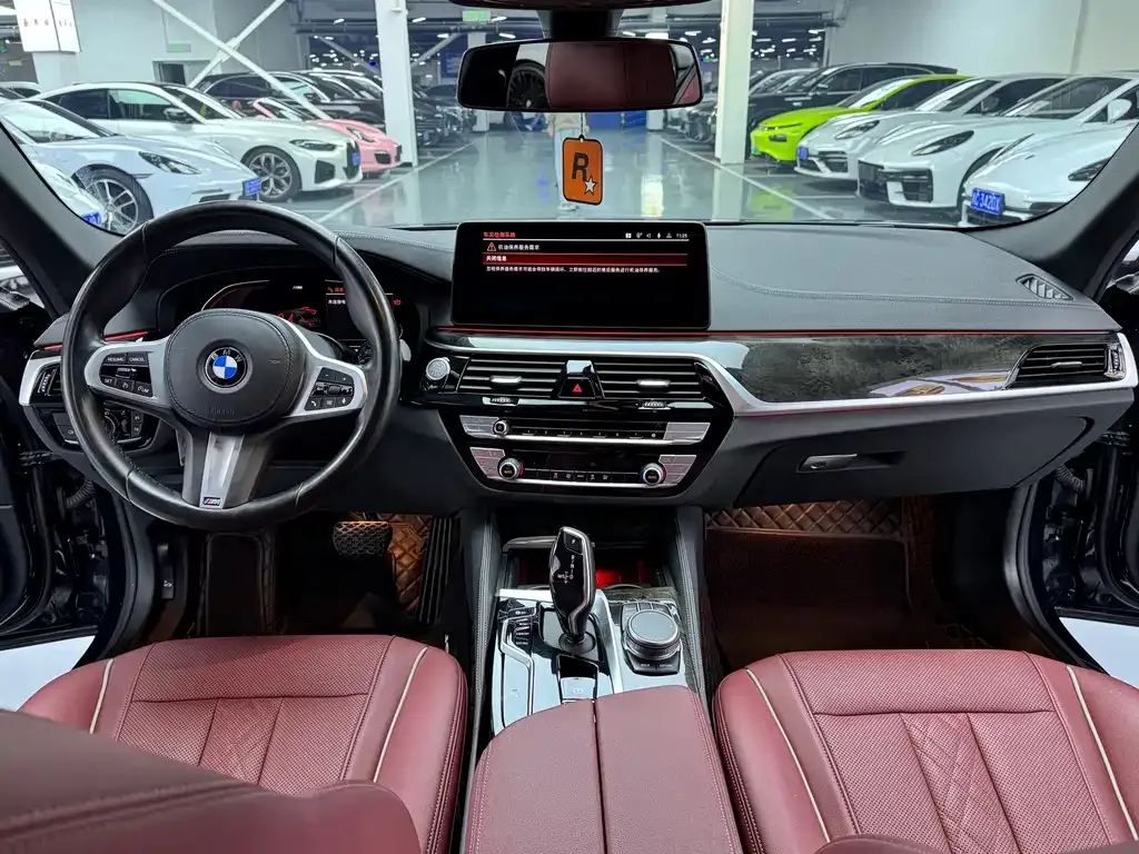 BMW 5 Series 2021 из CN, фото 9