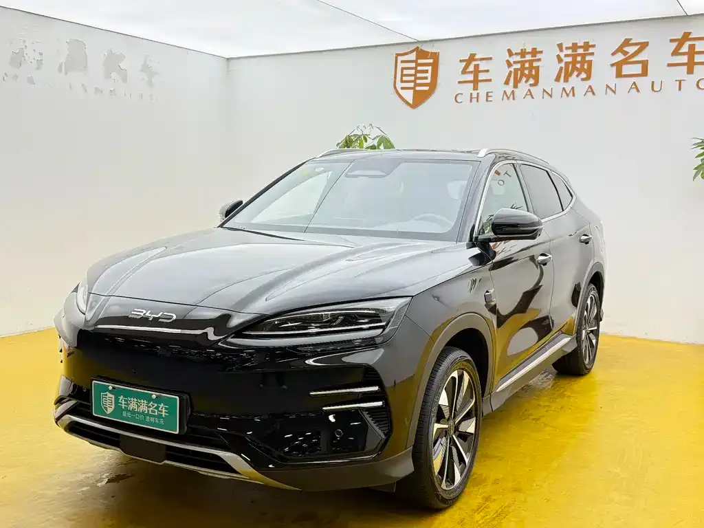 BYD PLUS New Energy 2025 из CN, фото 1