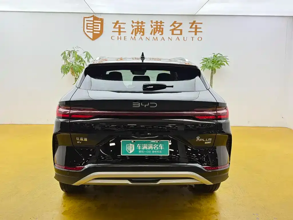 BYD PLUS New Energy 2025 из CN, фото 10