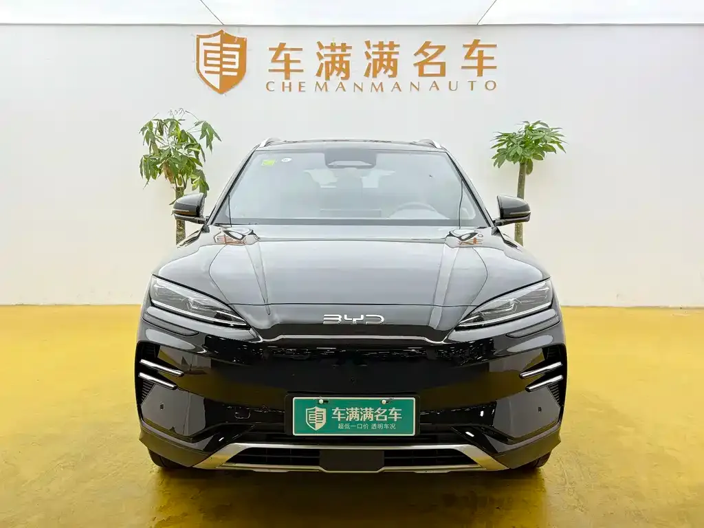 BYD PLUS New Energy 2025 из CN, фото 2