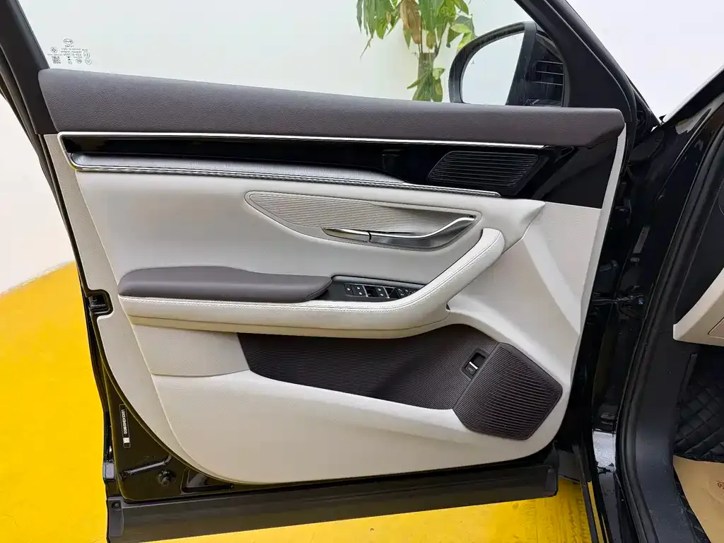 BYD PLUS New Energy 2025 из CN, фото 3