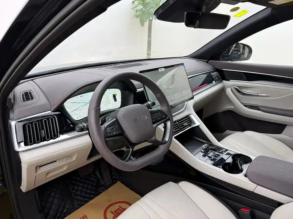 BYD PLUS New Energy 2025 из CN, фото 5