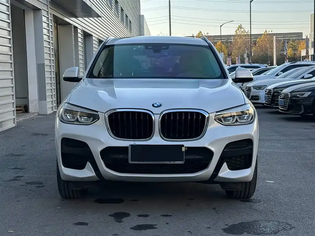 BMW X3 2021 из CN, фото 2