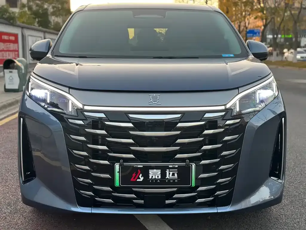 BYD Xia 2025 из CN, фото 2