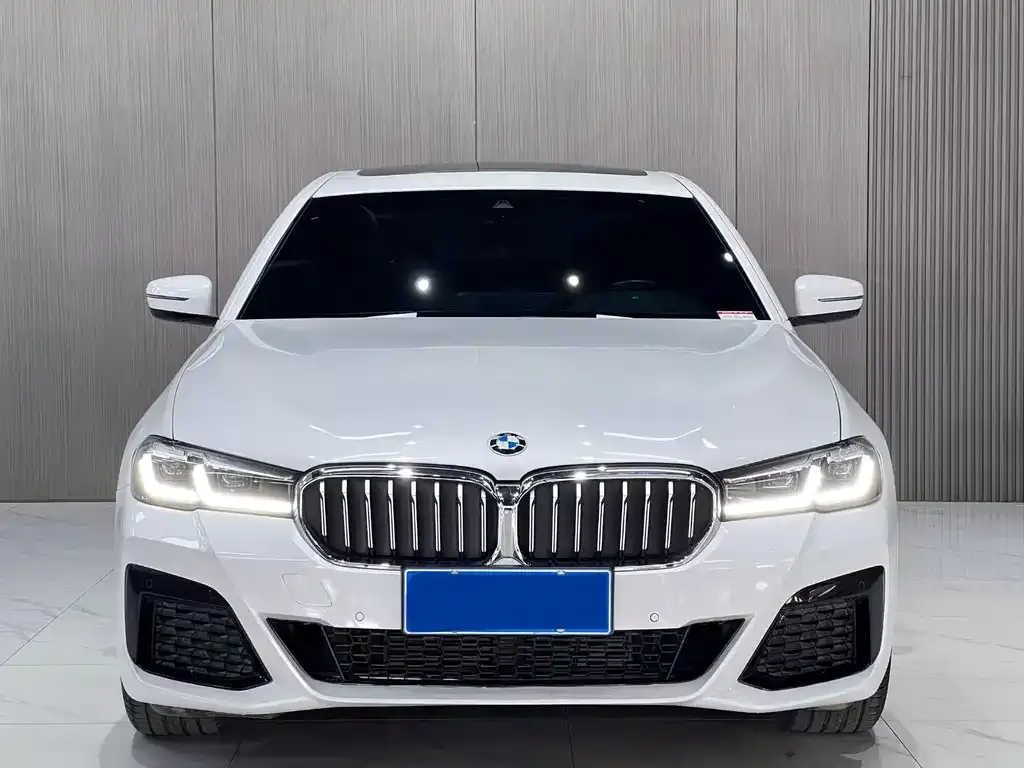BMW 5 Series 2022 из CN, фото 2