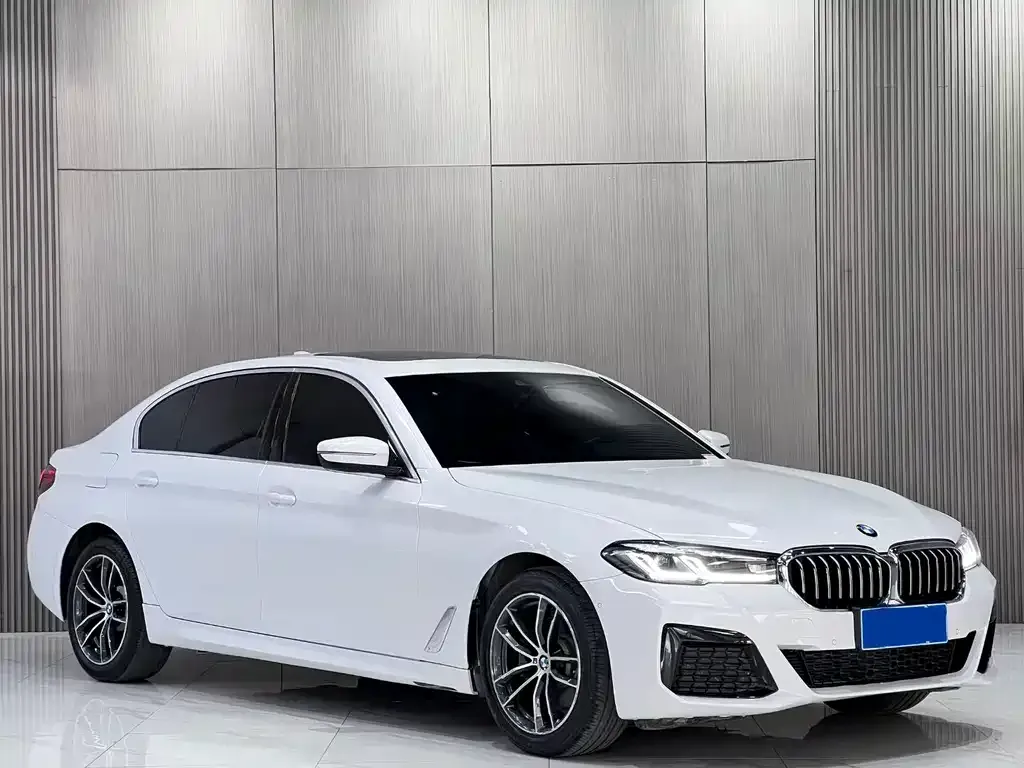 BMW 5 Series 2022 из CN, фото 3