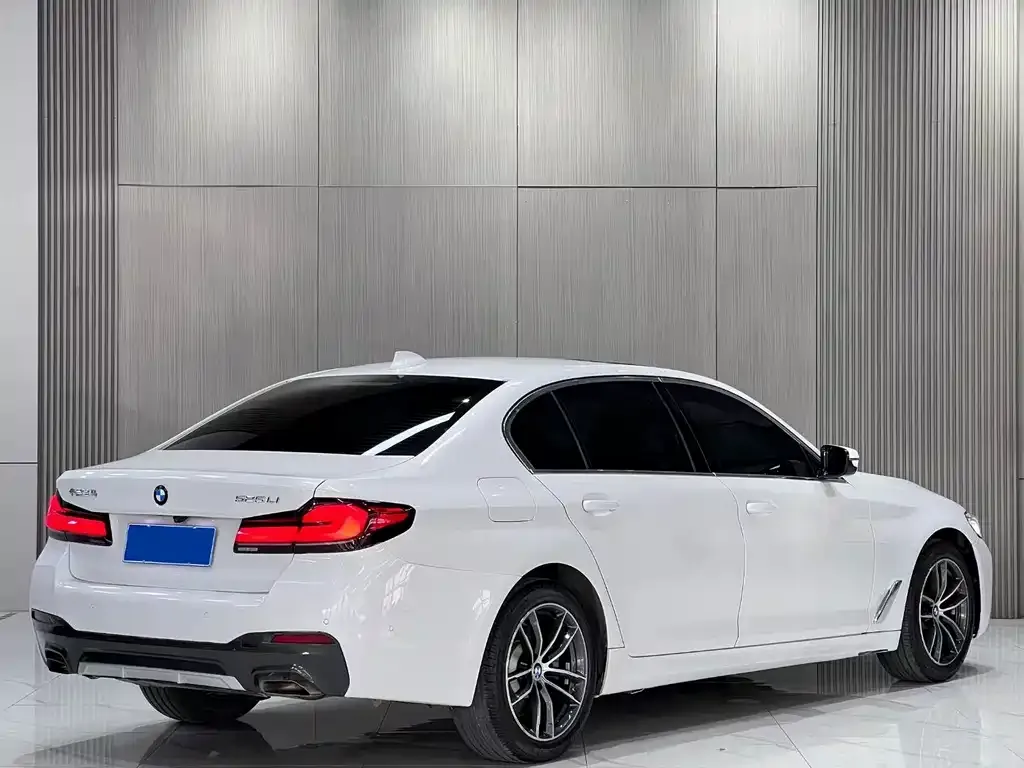 BMW 5 Series 2022 из CN, фото 4