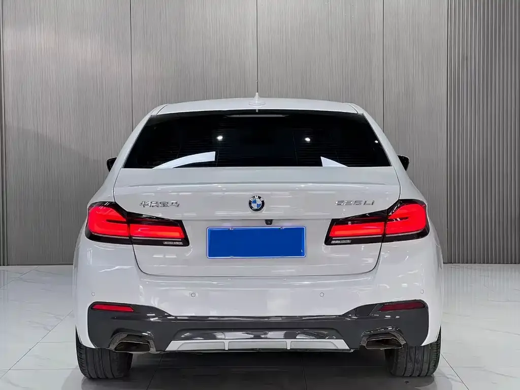 BMW 5 Series 2022 из CN, фото 5