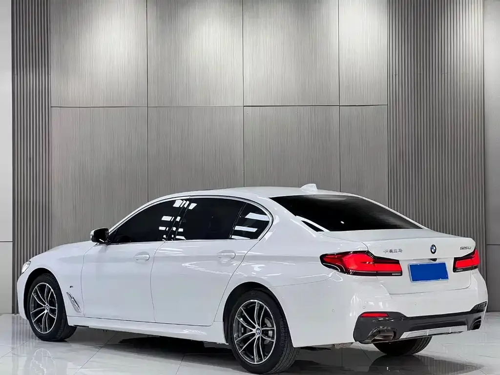 BMW 5 Series 2022 из CN, фото 6