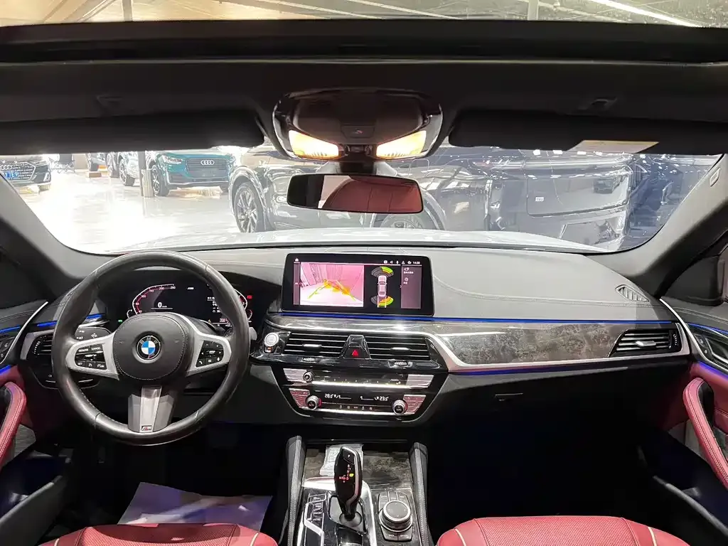 BMW 5 Series 2022 из CN, фото 8