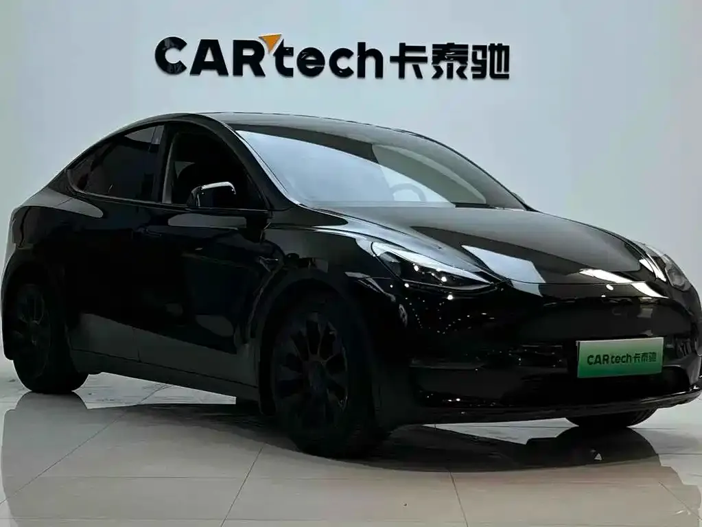 Tesla Model Y 2021 из CN, фото 2