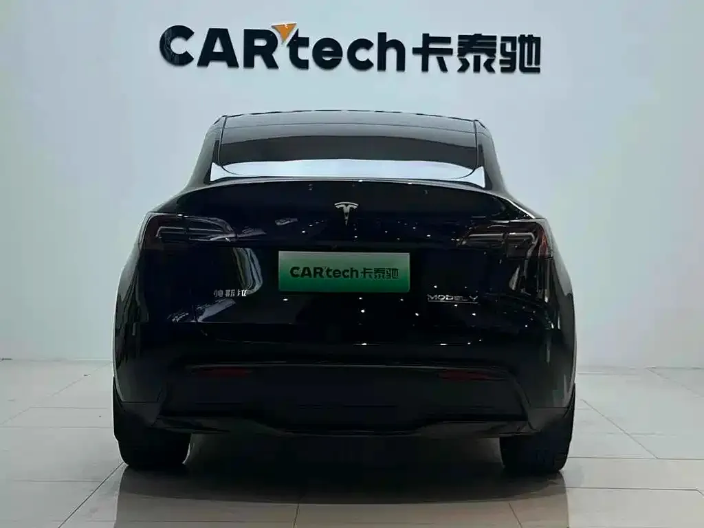 Tesla Model Y 2021 из CN, фото 4