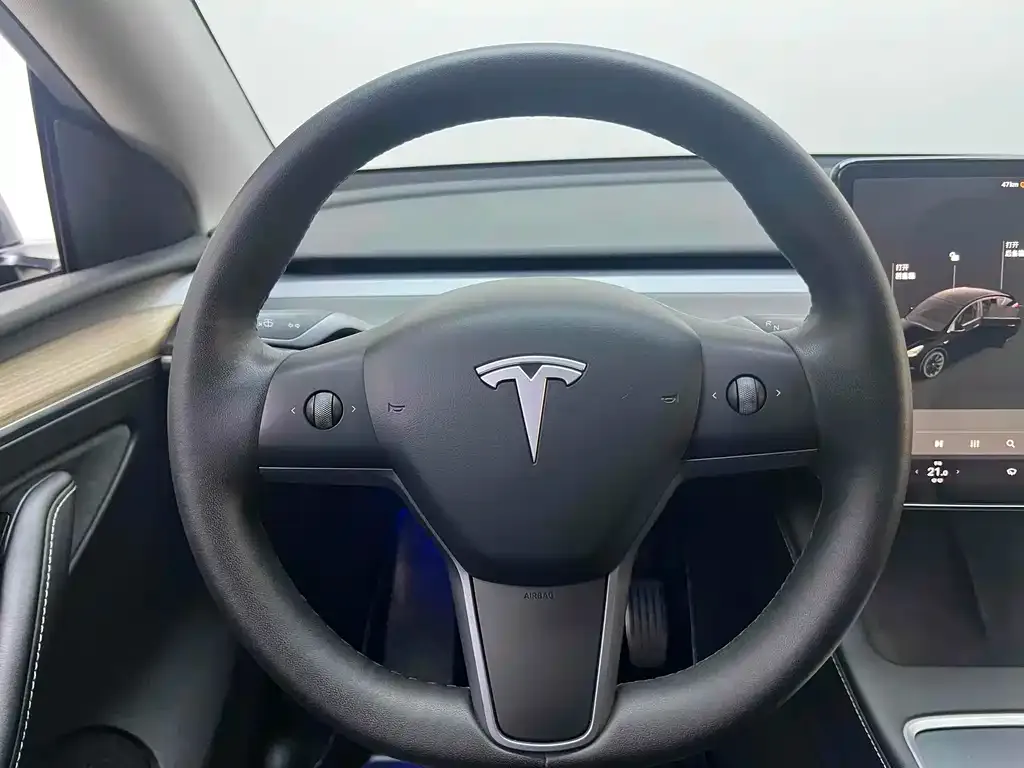 Tesla Model Y 2021 из CN, фото 6