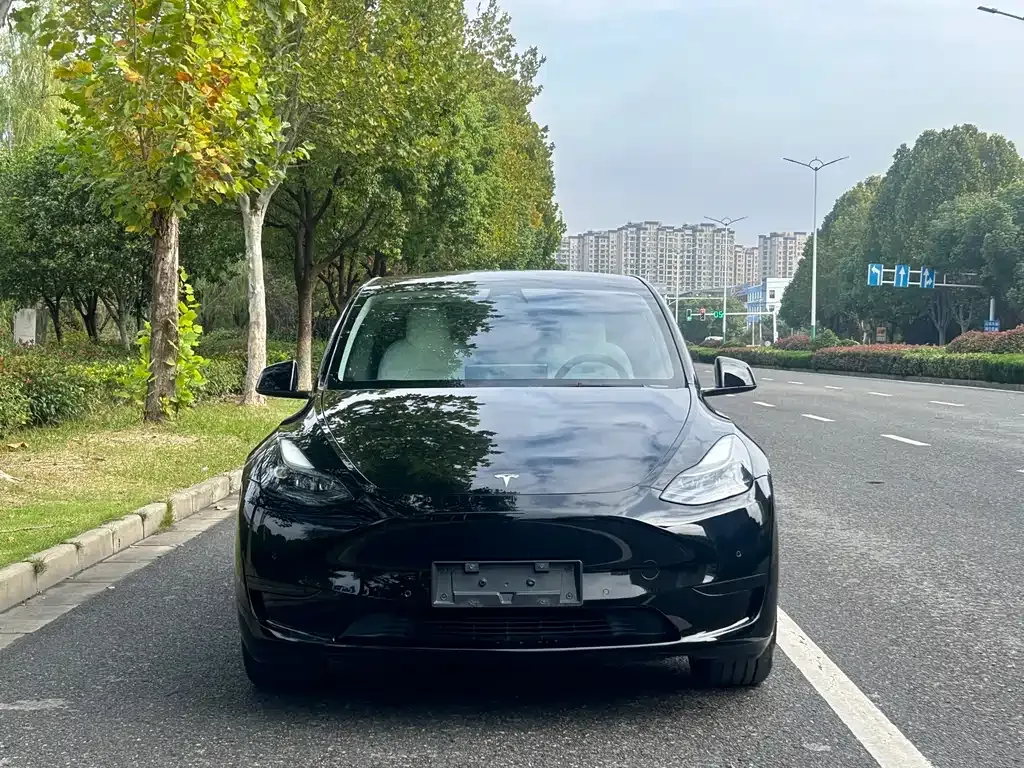 Tesla Model Y — фото 1