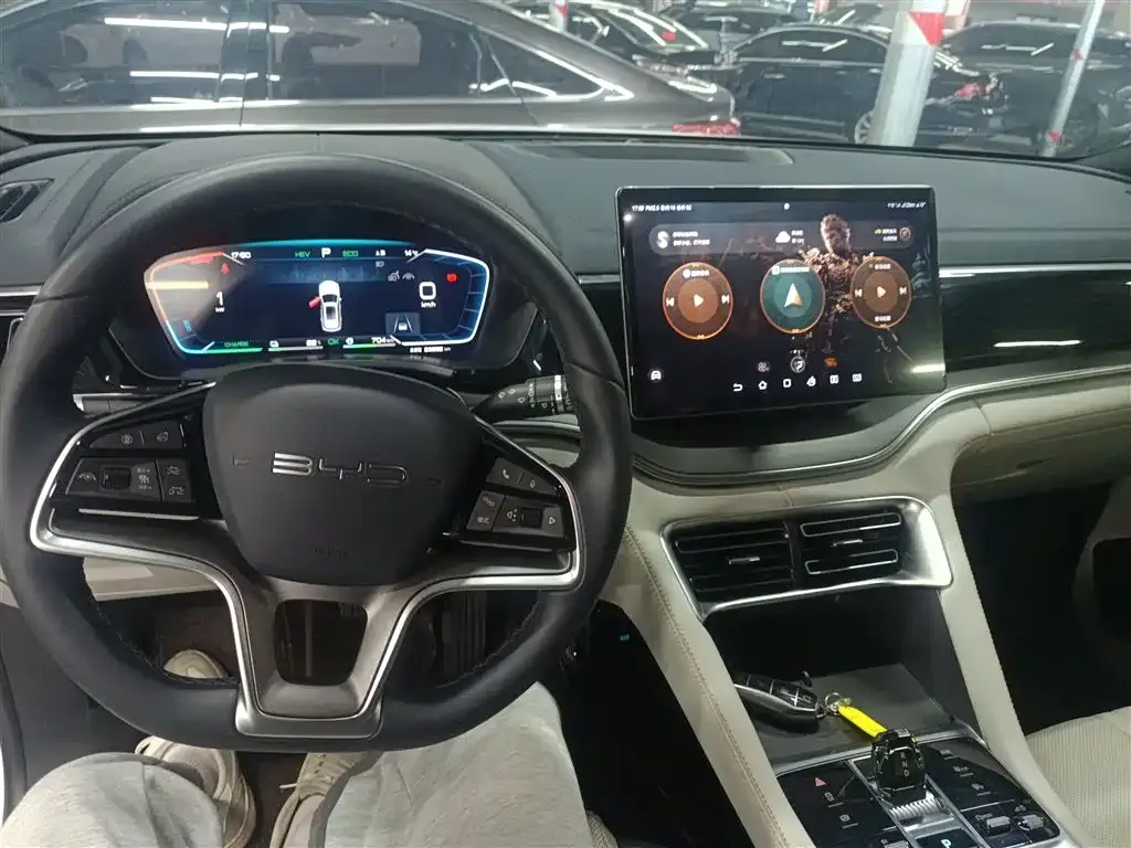 BYD PLUS New Energy 2024 из CN, фото 10