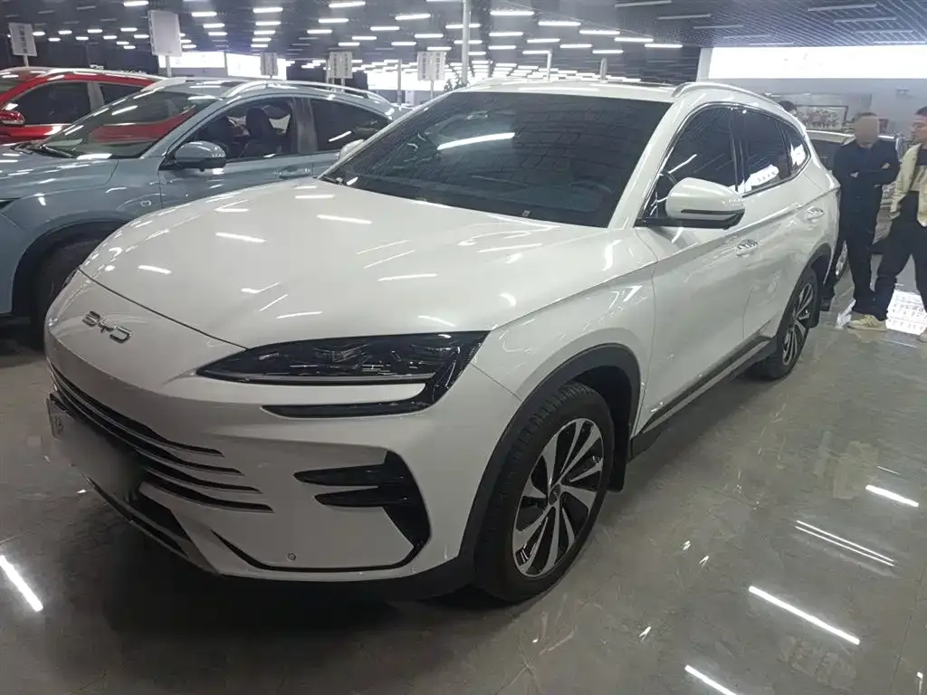 BYD PLUS New Energy 2024 из CN, фото 2