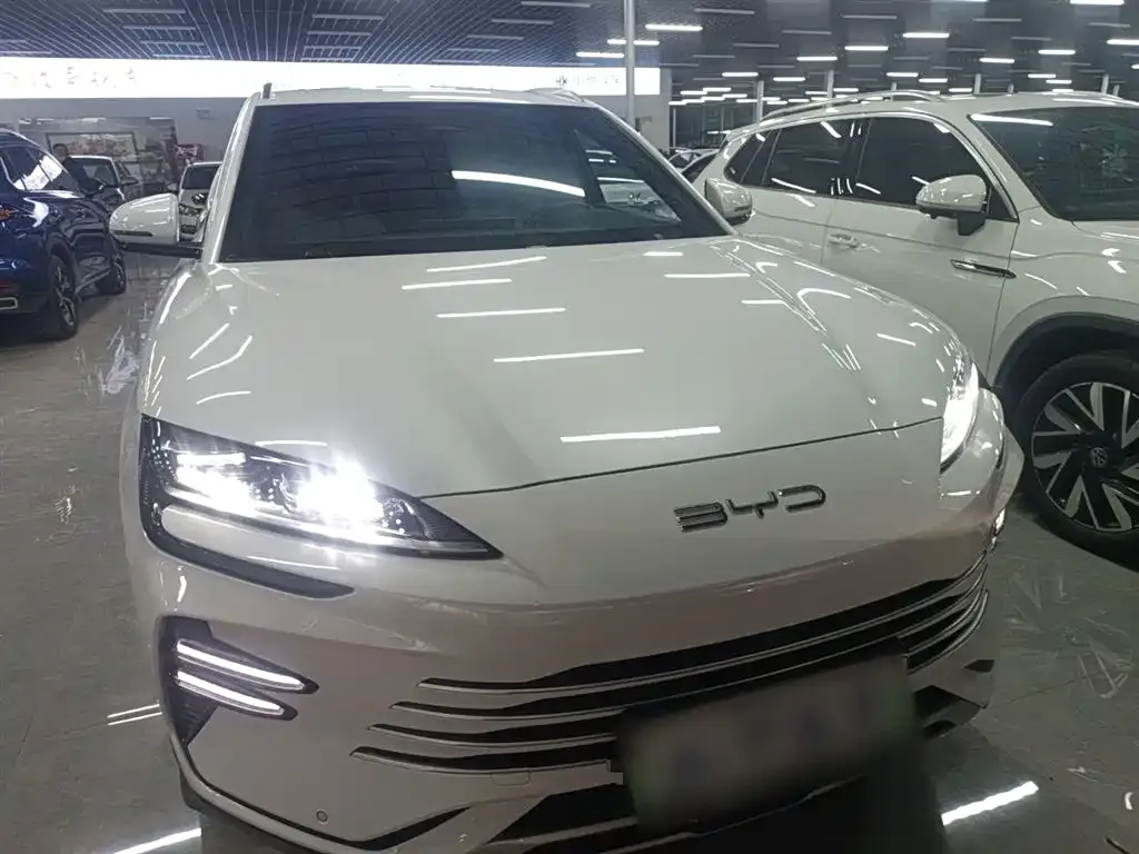 BYD PLUS New Energy 2024 из CN, фото 3