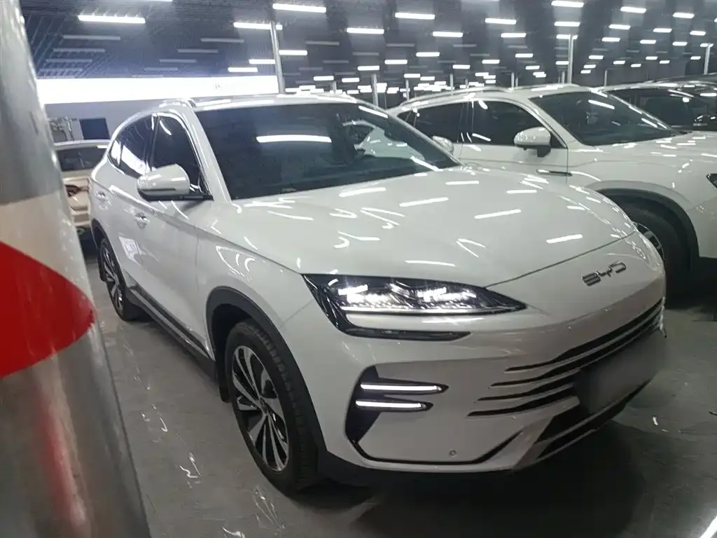 BYD PLUS New Energy 2024 из CN, фото 4