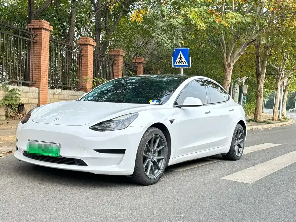Tesla Model 3 2021 из CN, фото 1