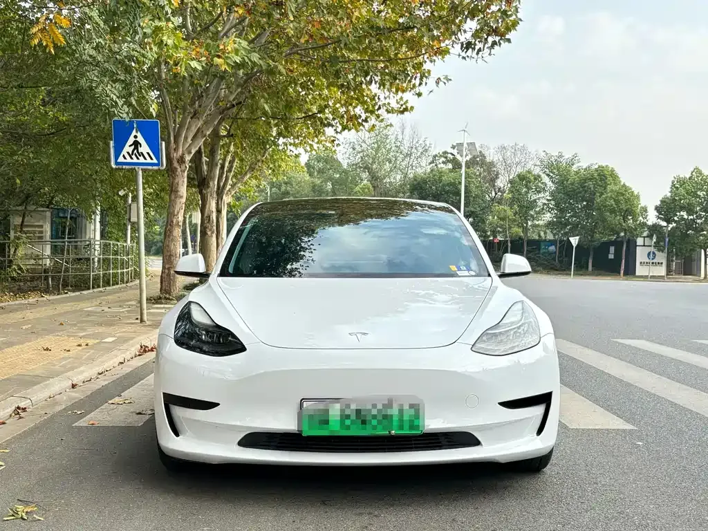 Tesla Model 3 2021 из CN, фото 2