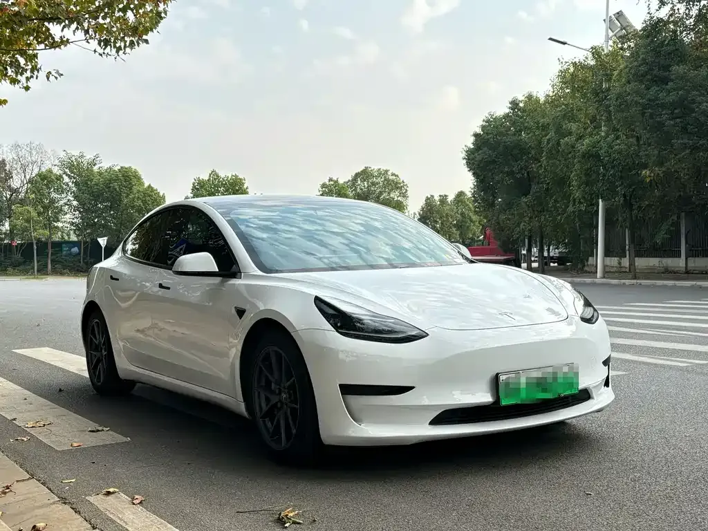 Tesla Model 3 2021 из CN, фото 3