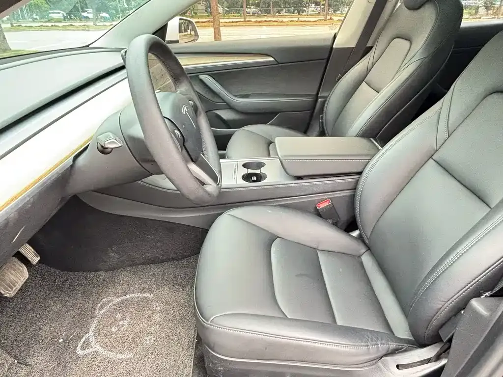 Tesla Model 3 2021 из CN, фото 4