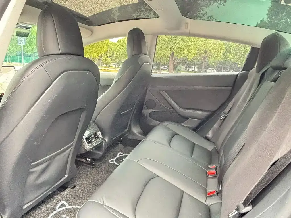 Tesla Model 3 2021 из CN, фото 5