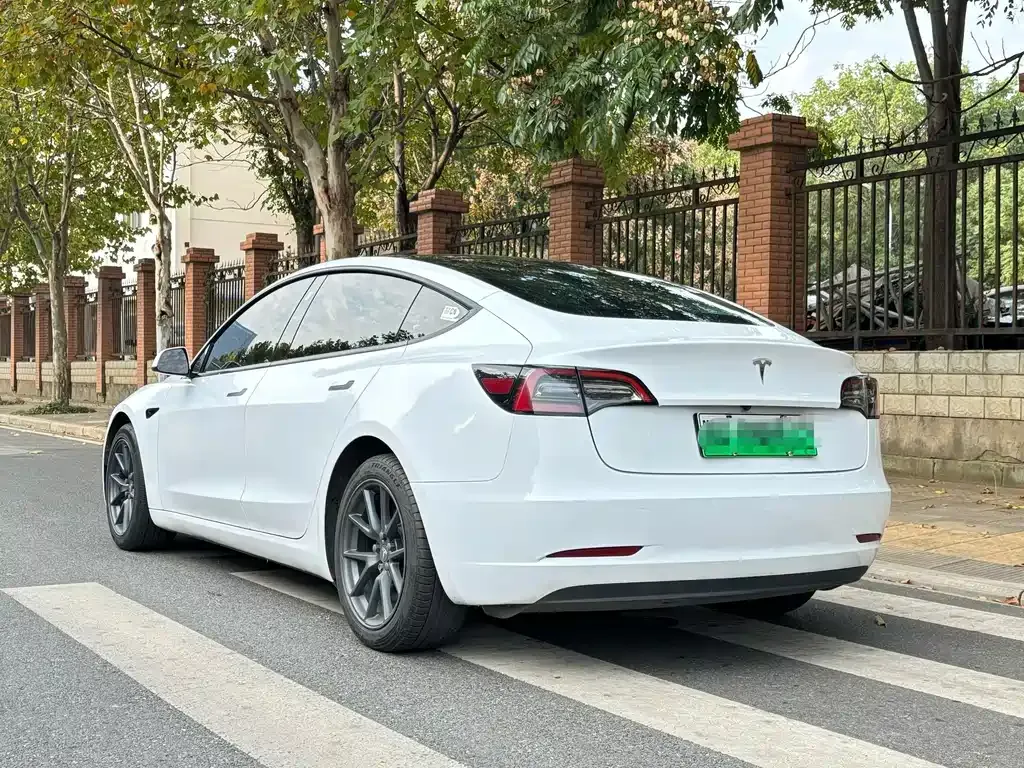 Tesla Model 3 2021 из CN, фото 7