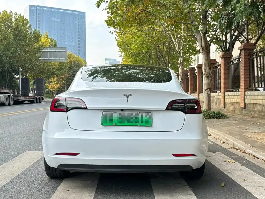 Tesla Model 3 2021 из CN, фото 8