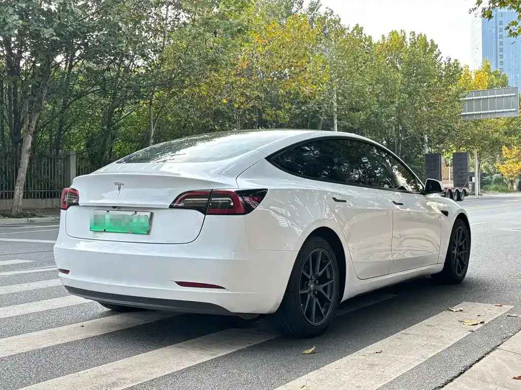 Tesla Model 3 2021 из CN, фото 9