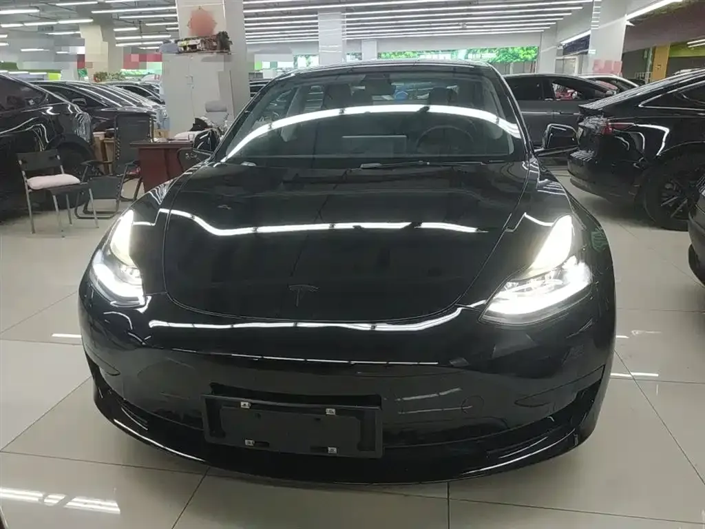 Tesla Model 3 2021 из CN, фото 3