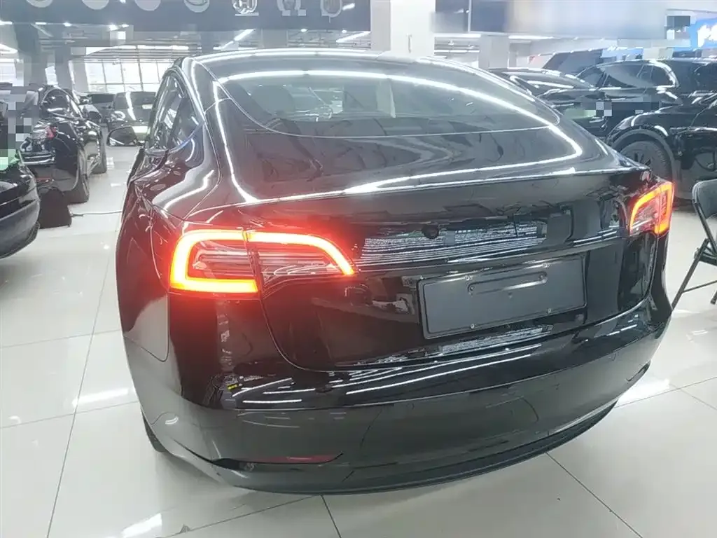Tesla Model 3 2021 из CN, фото 6