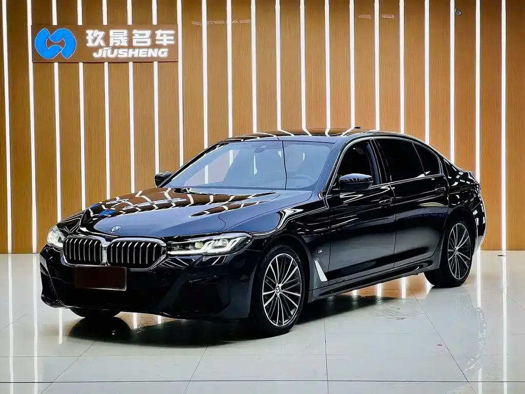 BMW 5 Series 2022 из CN, фото 1