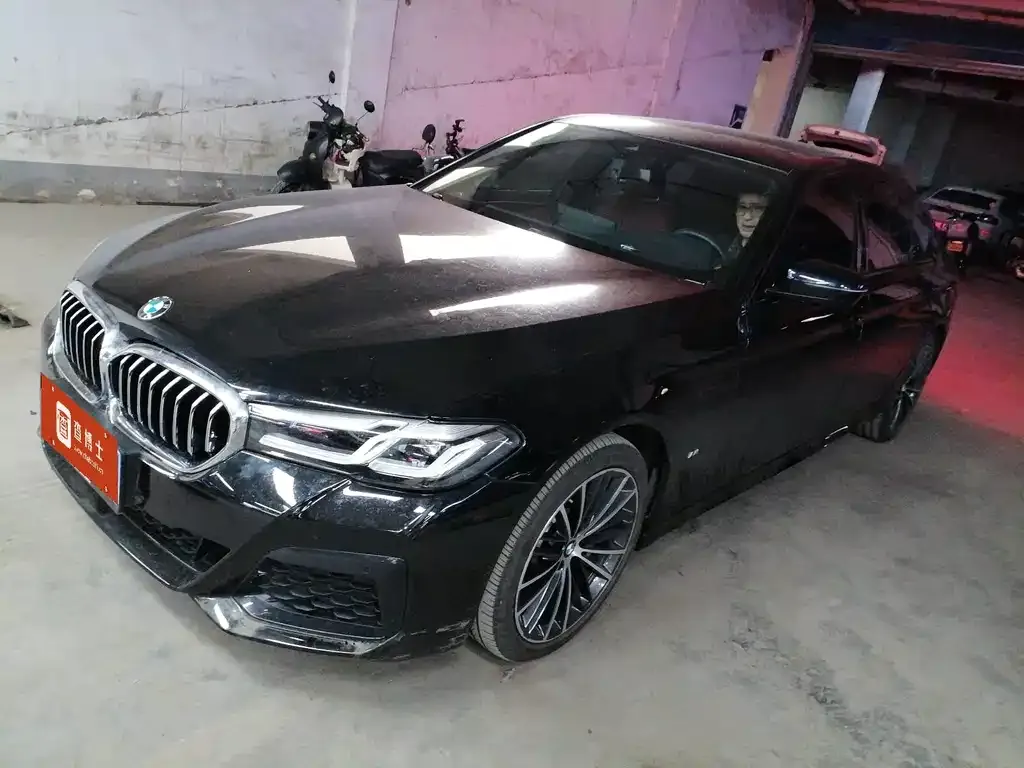 BMW 5 Series 2022 из CN, фото 6