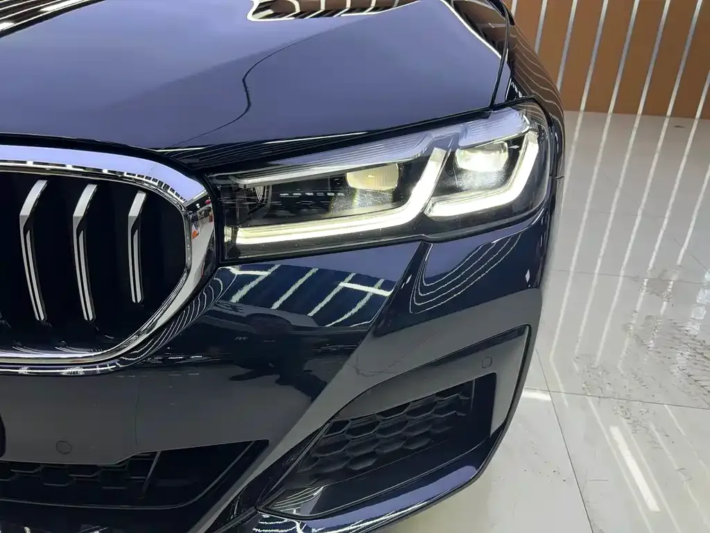 BMW 5 Series 2022 из CN, фото 8