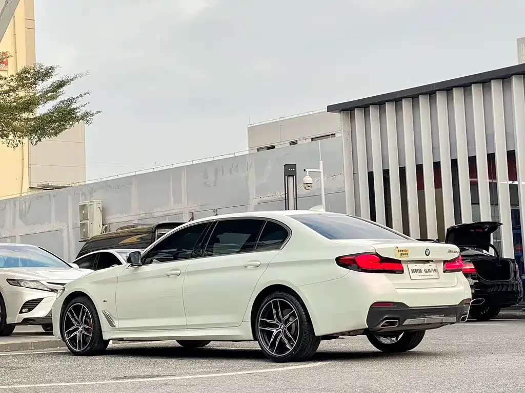 BMW 5 Series 2022 из CN, фото 4