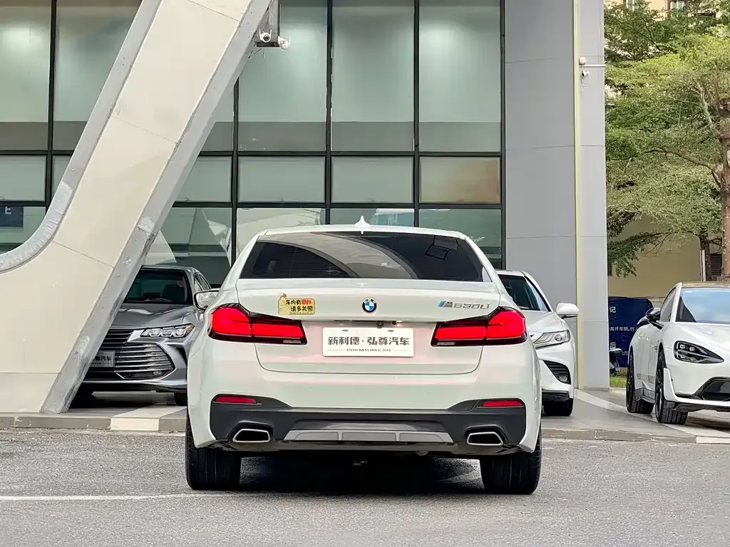 BMW 5 Series 2022 из CN, фото 5