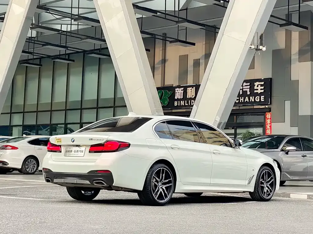BMW 5 Series 2022 из CN, фото 6