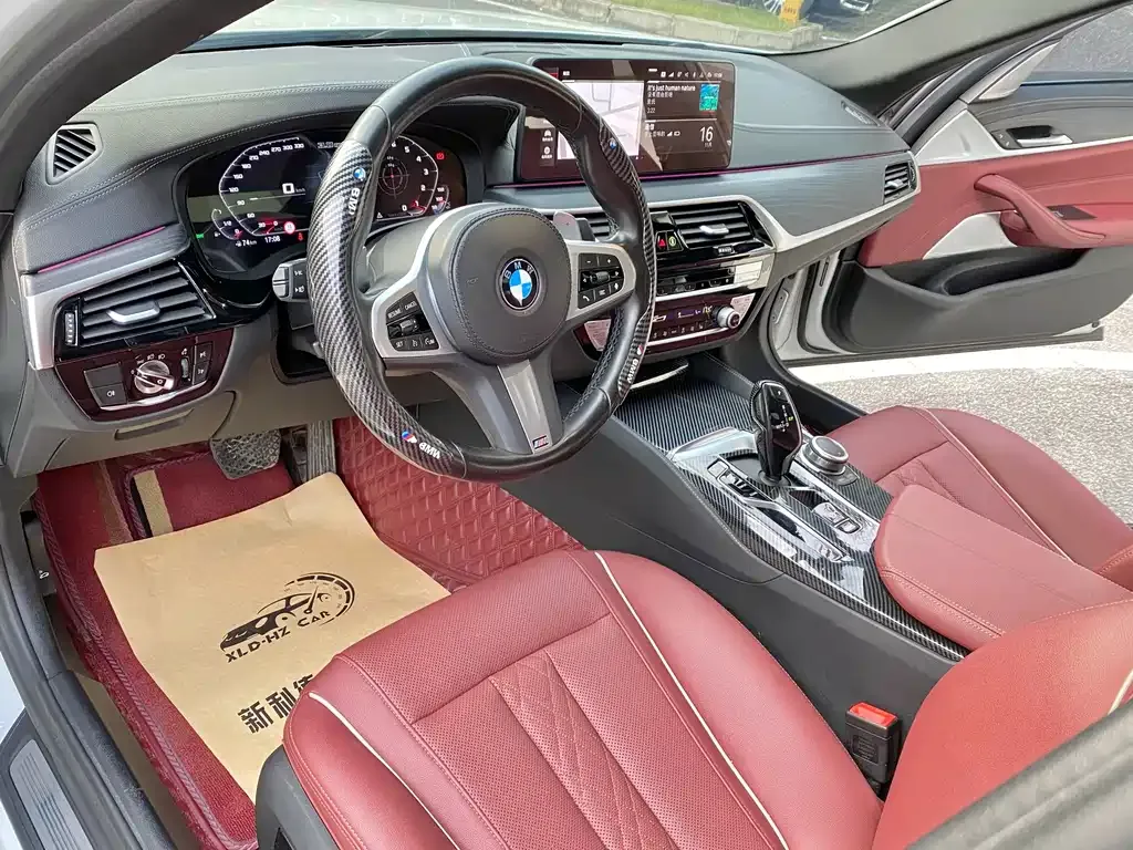 BMW 5 Series 2022 из CN, фото 9
