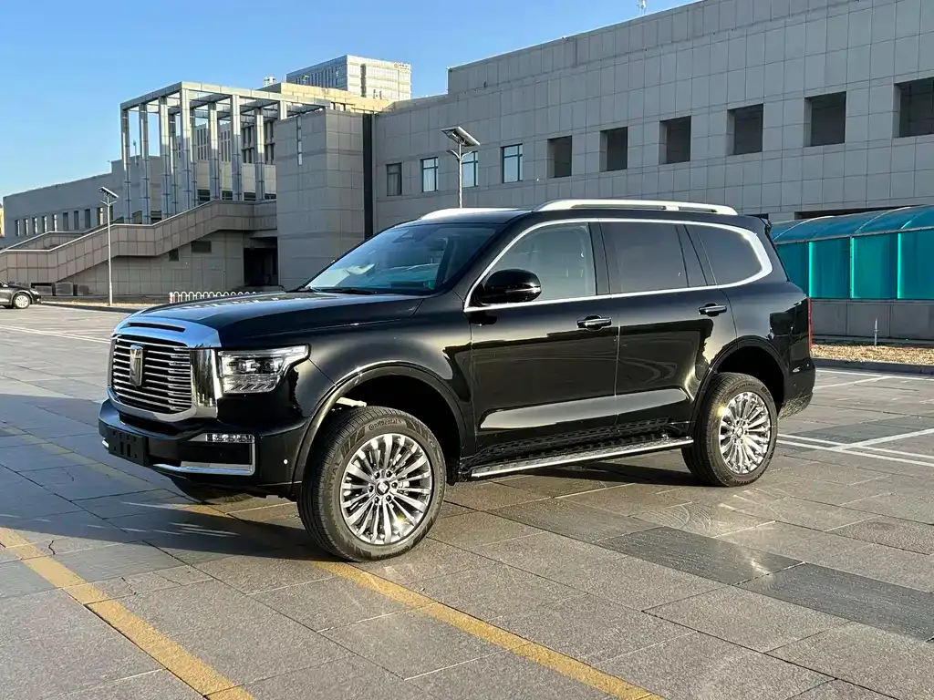 Tank 500 New Energy 2025 из CN, фото 8