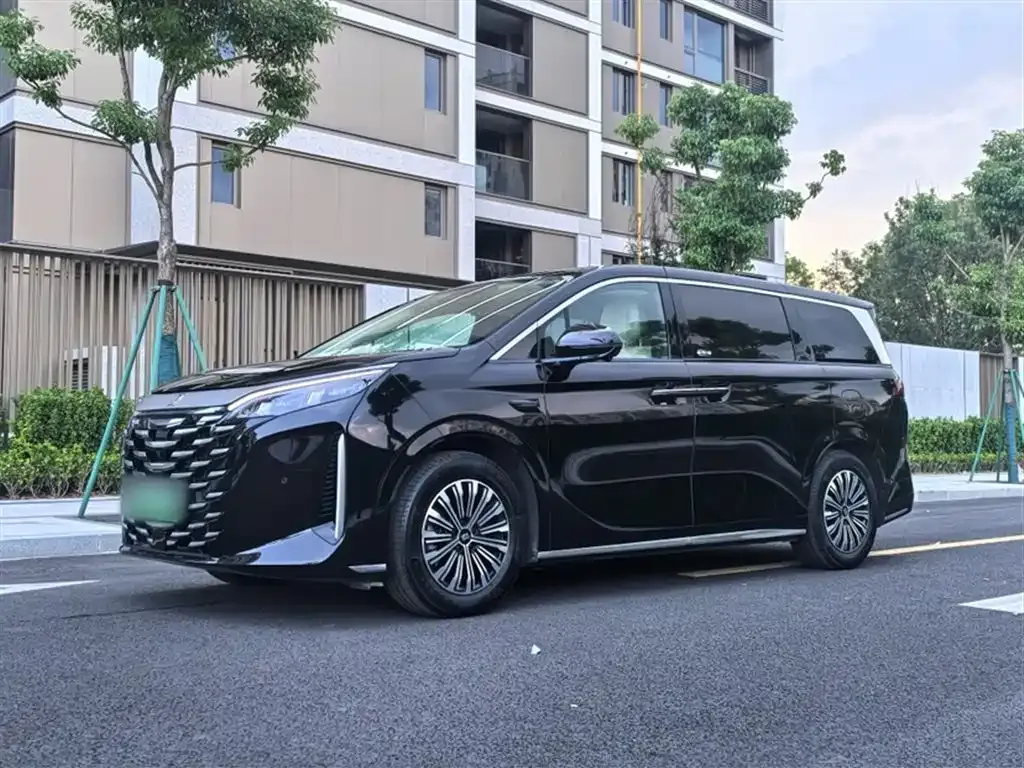 BYD Xia 2025 из CN, фото 2